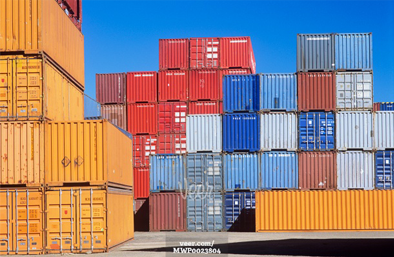 Director container image